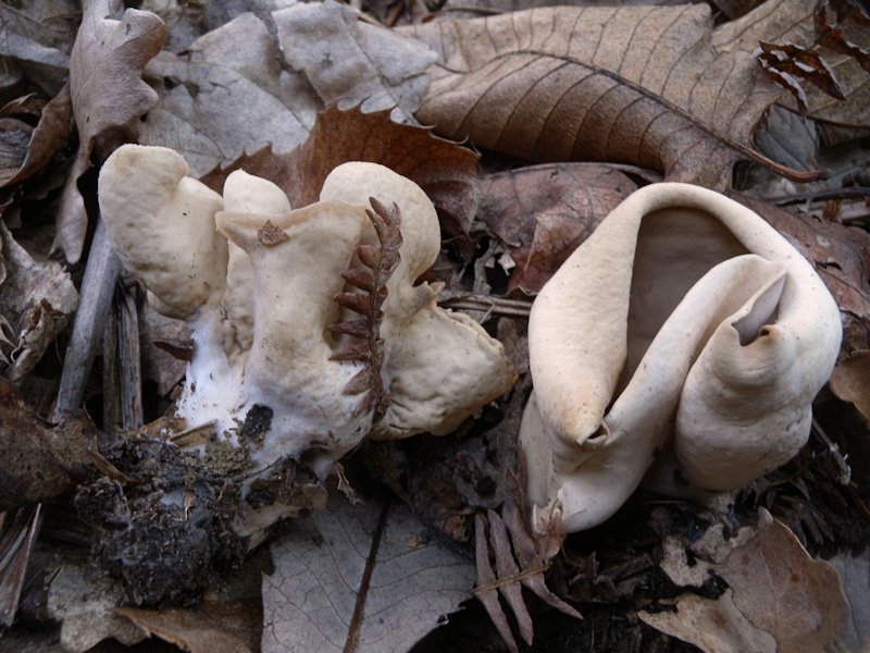 Forse l''ultima bellissima giornata..!!